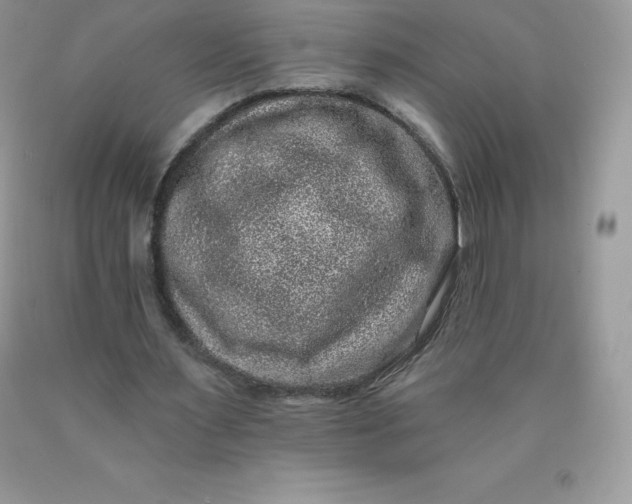 X0000090440483200707272158