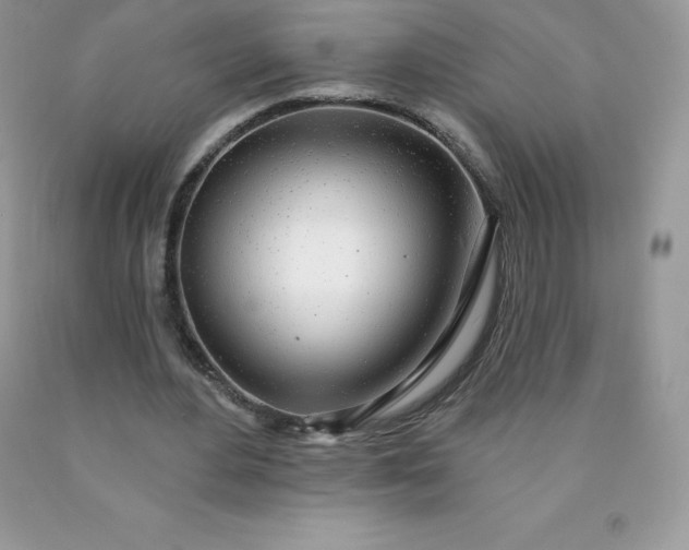 X0000090440484200707272158