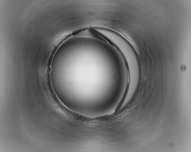 X0000090440485200707272158