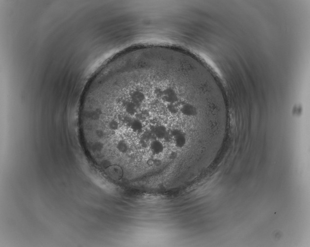 X0000090440487200707272157