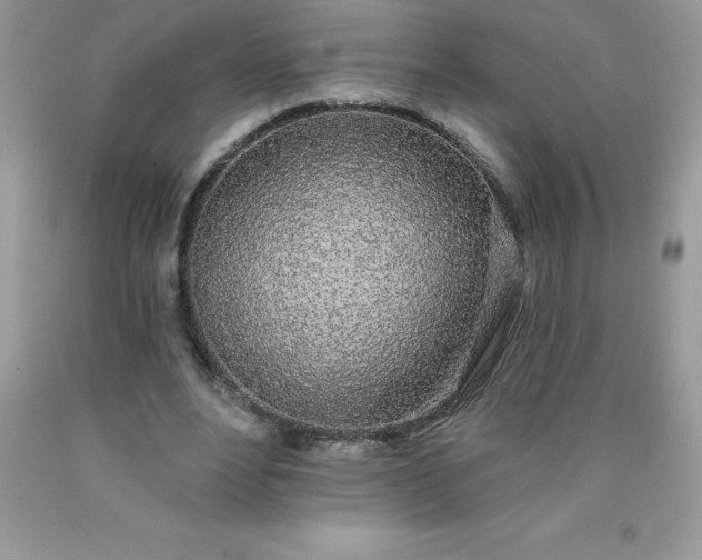 X0000090440488200707272157