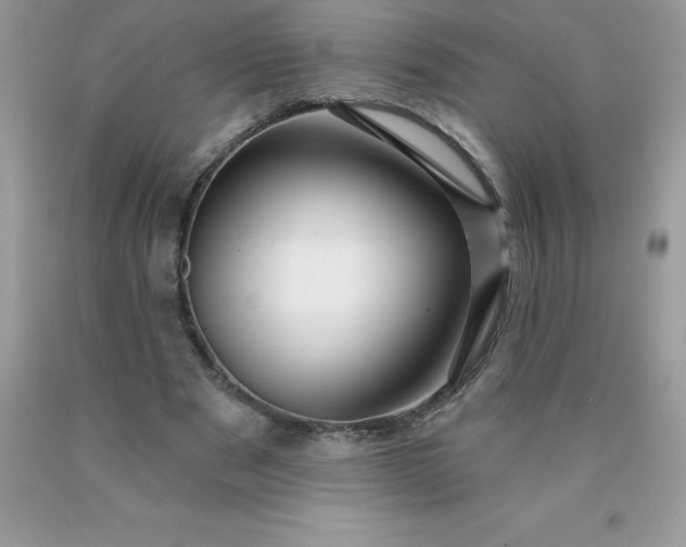 X0000090440489200707272157