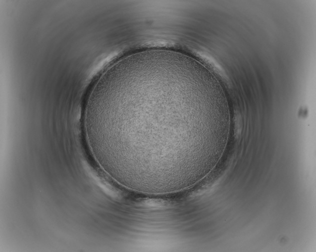 X0000090440490200707272157