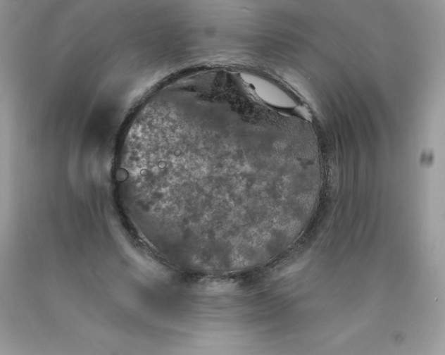 X0000090440491200707272157