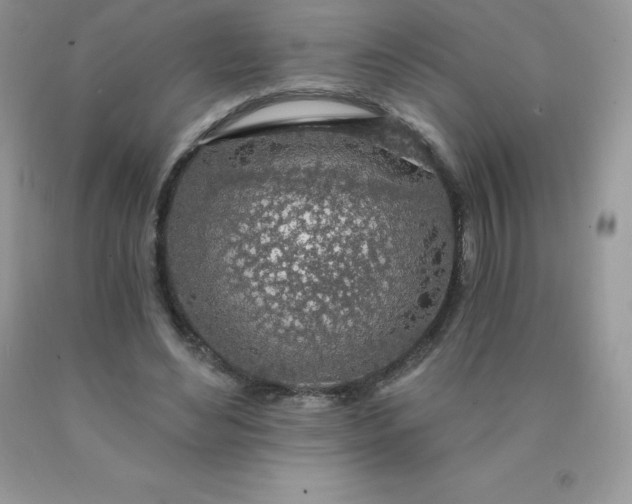 X0000090440492200707272157