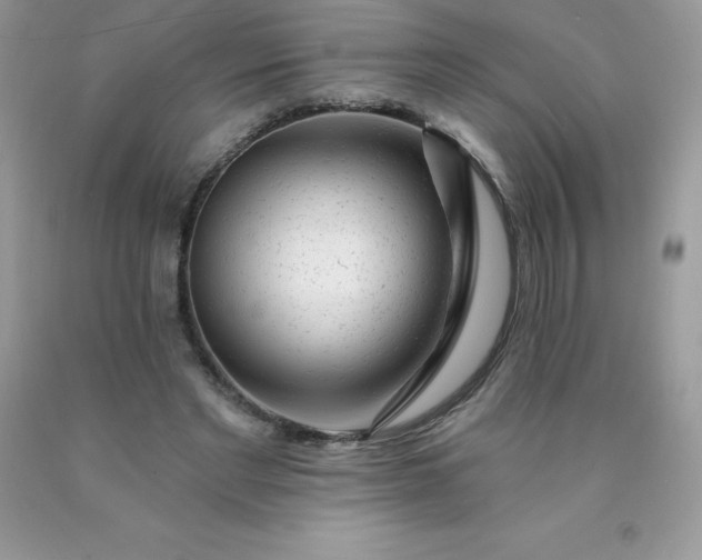 X0000090440493200707272157