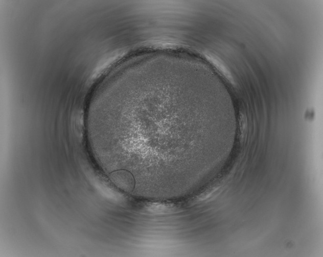 X0000090440494200707272157