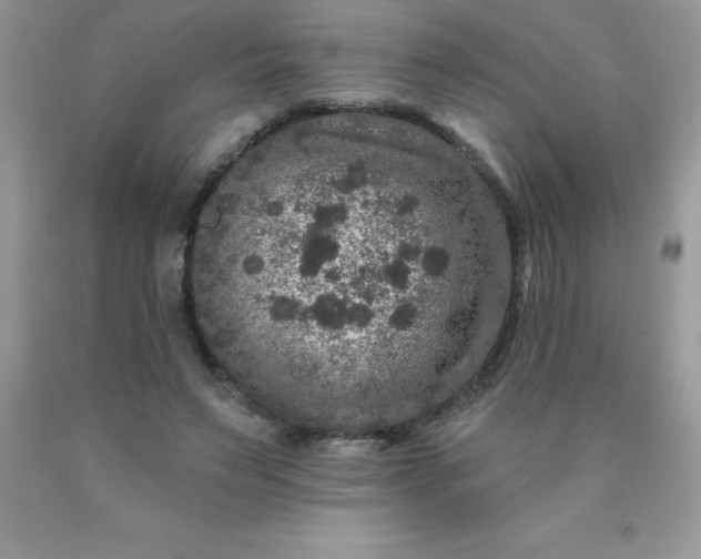 X0000090440495200707272157