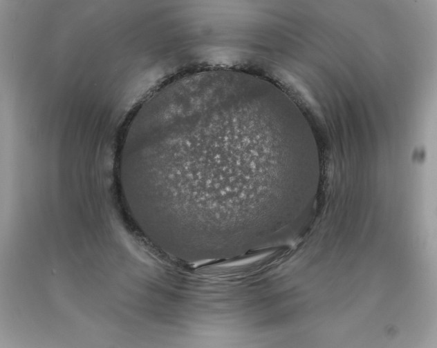 X0000090440496200707272157