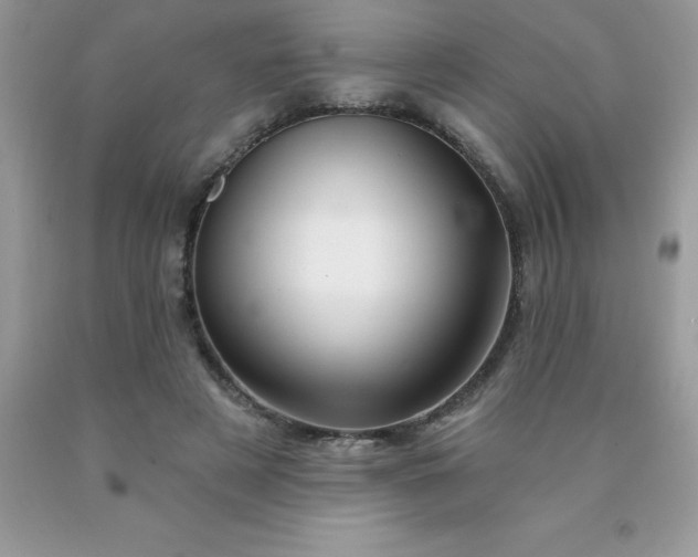 X0000090440497200707272157