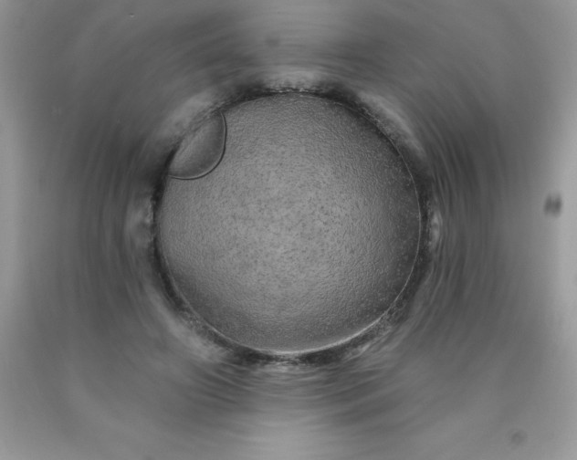 X0000090440498200707272157