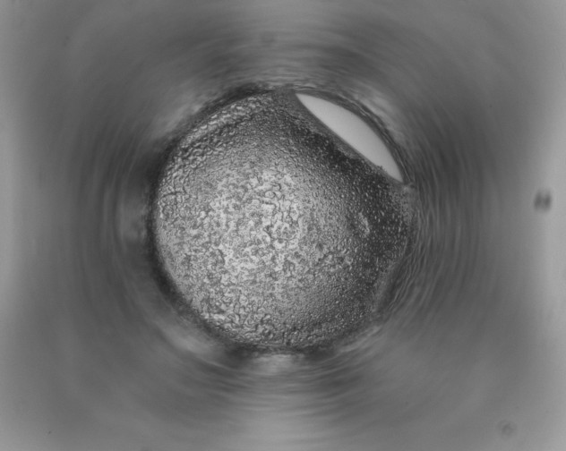 X0000090440499200707272157