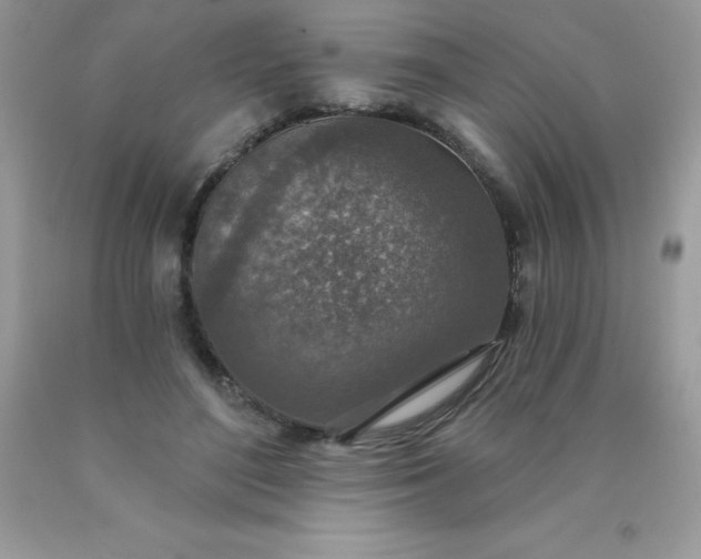 X0000090440500200707272157