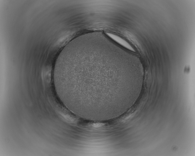 X0000090440501200707272157