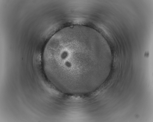 X0000090440502200707272157