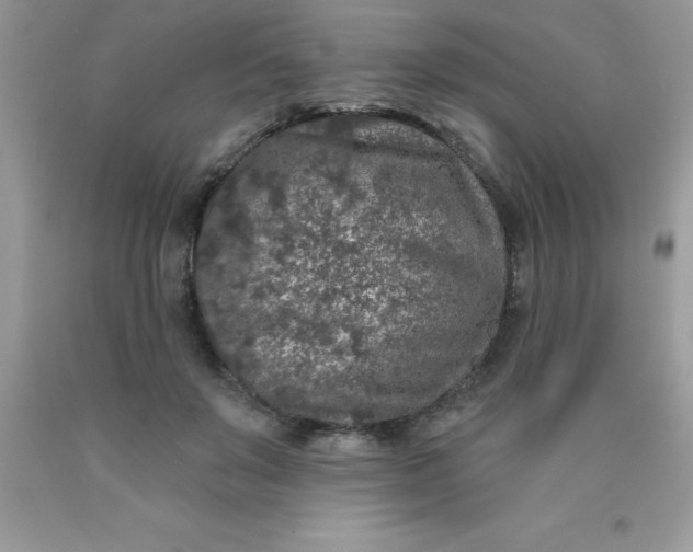 X0000090440503200707272157