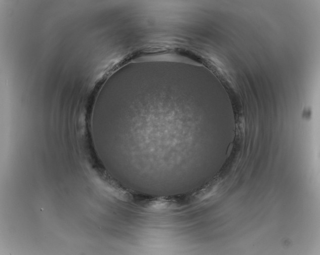 X0000090440504200707272157