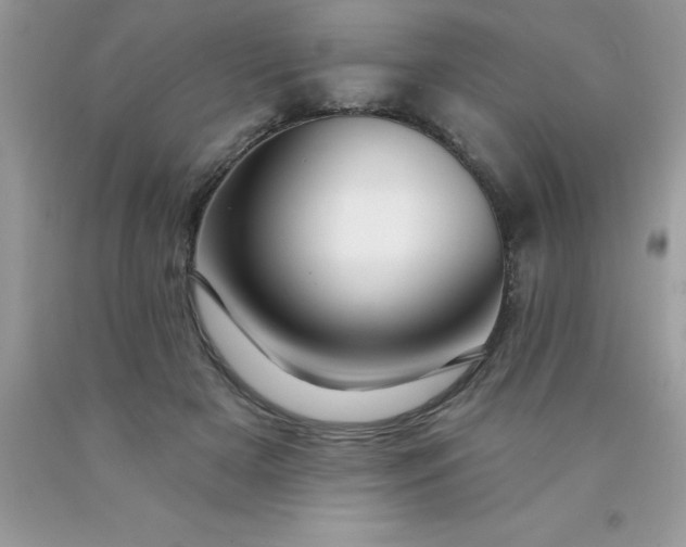 X0000090440505200707272157