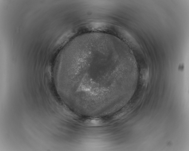 X0000090440506200707272157