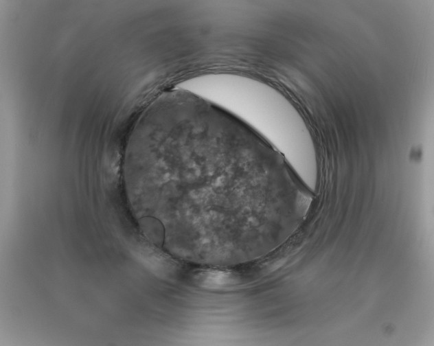 X0000090440507200707272157