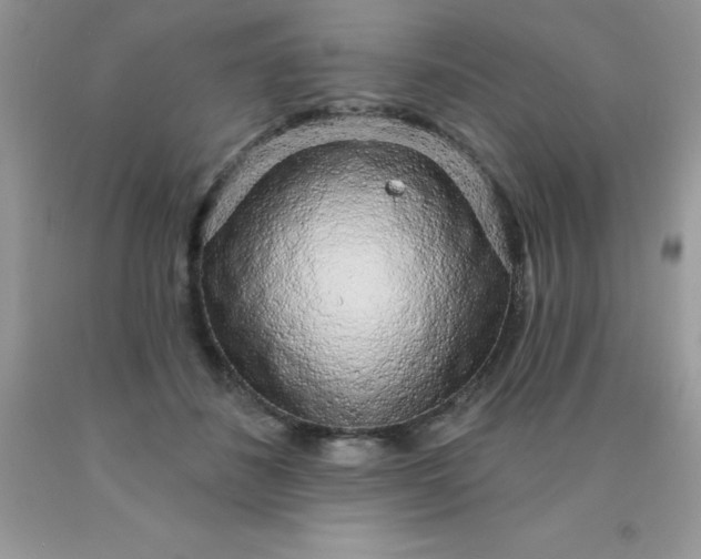 X0000090440508200707272157