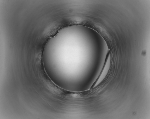 X0000090440509200707272157