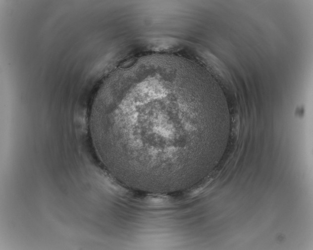 X0000090440510200707272157