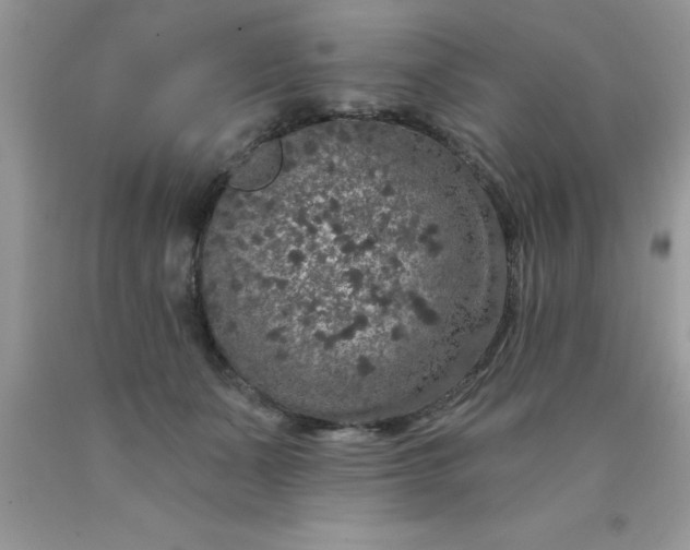 X0000090440511200707272157