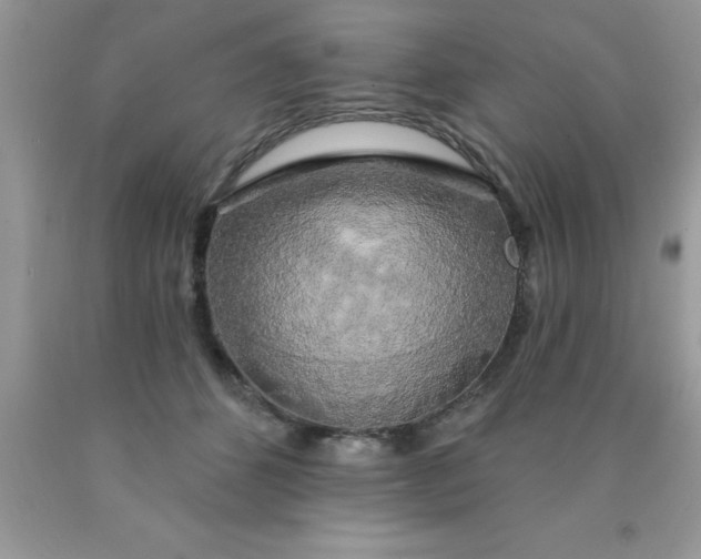 X0000090440512200707272157