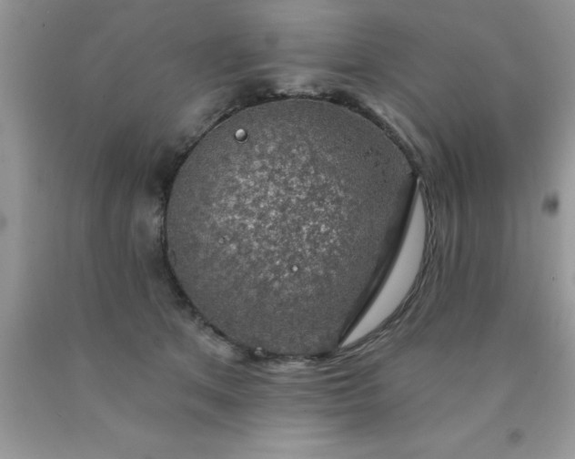 X0000090440513200707272157