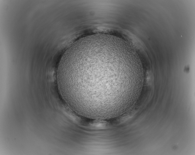 X0000090440514200707272157