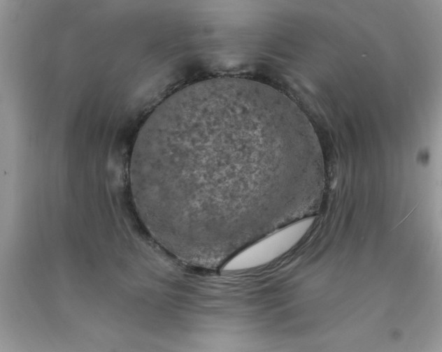 X0000090440515200707272157