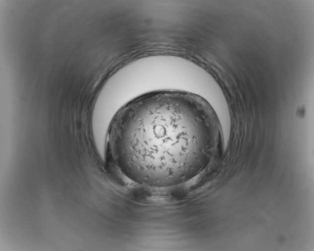 X0000090440516200707272157