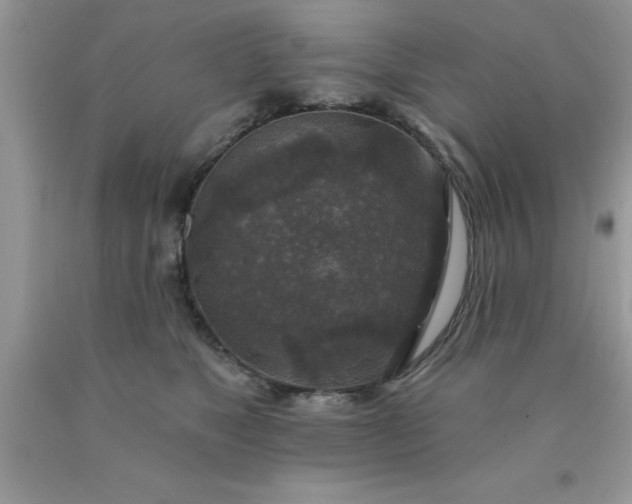 X0000090440517200707272157