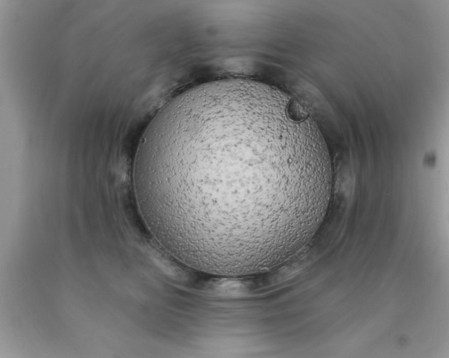 X0000090440518200707272157