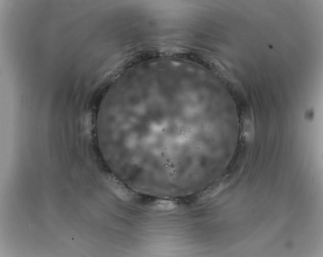 X0000090440519200707272157