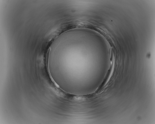 X0000090440520200707272157