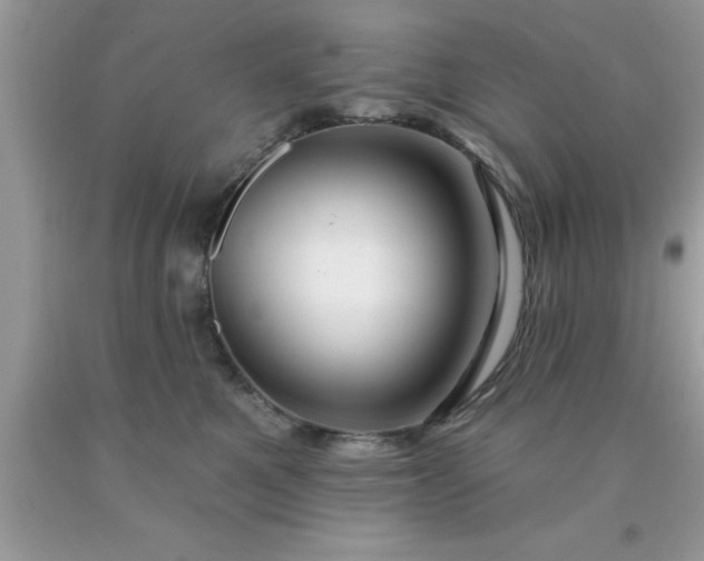 X0000090440521200707272157