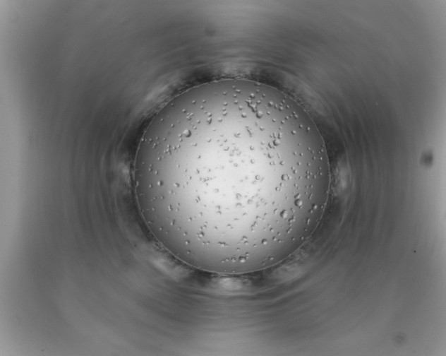 X0000090440522200707272157