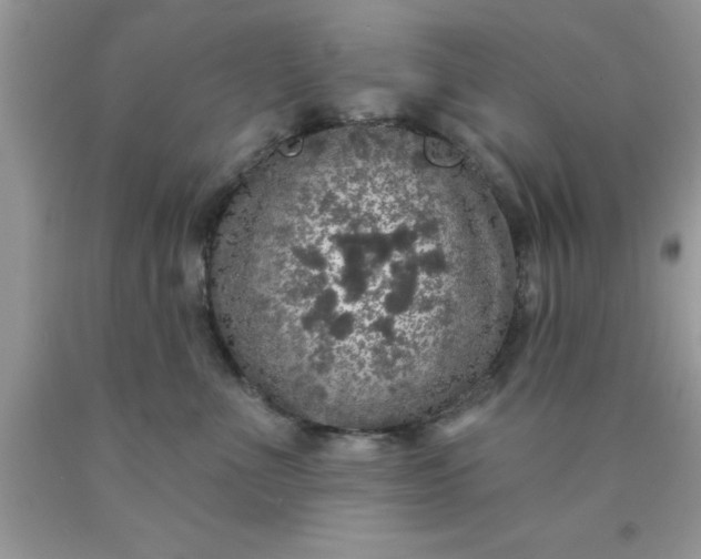 X0000090440523200707272157