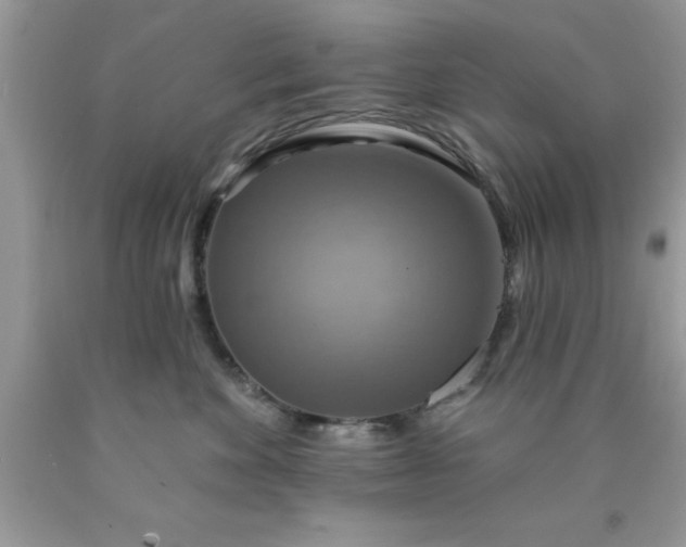 X0000090440524200707272157