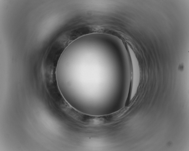 X0000090440525200707272157