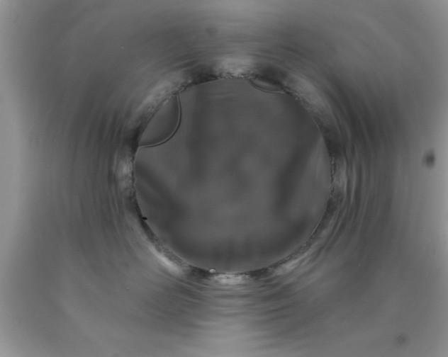 X0000090440526200707272157