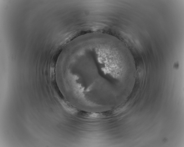 X0000090440527200707272157