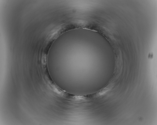 X0000090440528200707272157