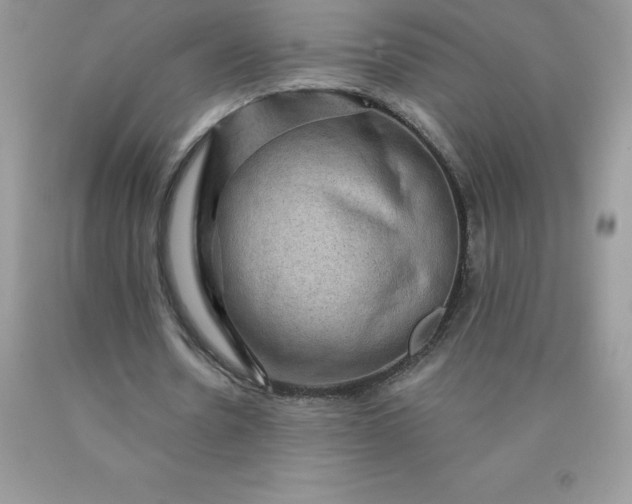 X0000090440530200707272156