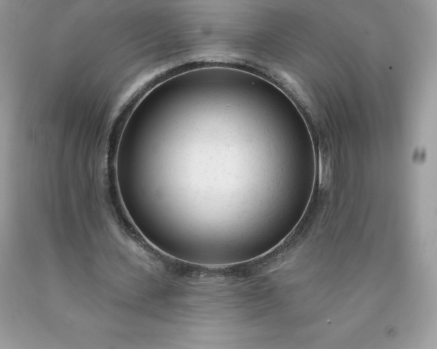 X0000090440531200707272156