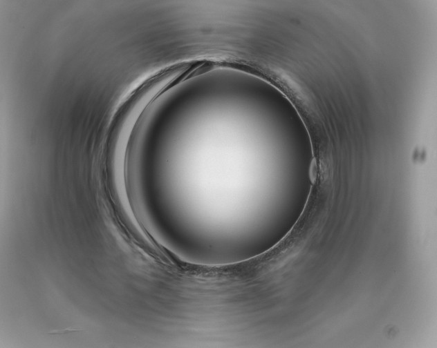 X0000090440532200707272156