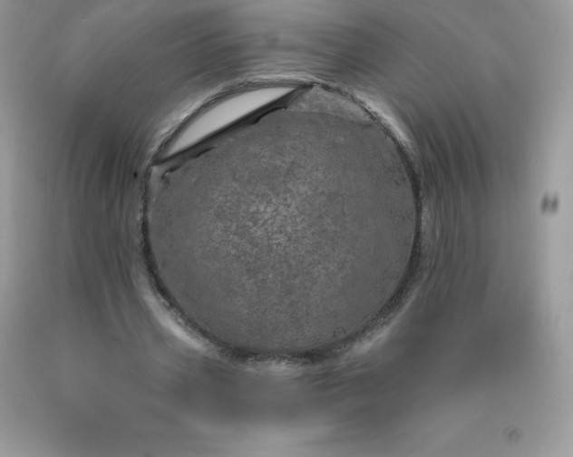 X0000090440533200707272156