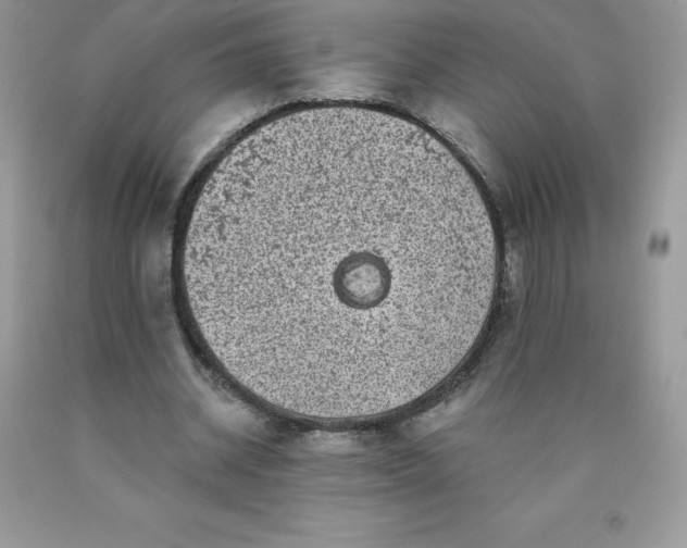 X0000090440534200707272156